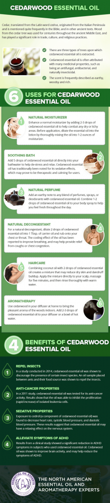 Cedarwood Essential Oil | Uses, Benefits & Where to Buy